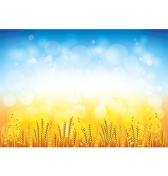Wheat field background vector image