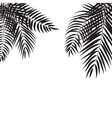 Beautifil Palm Tree Leaf Silhouette Background vector image