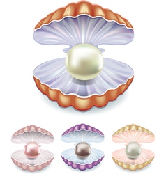 Pearl vector image