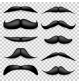 Mustache isolated on white black vintage Mustache isolated on white black vintage vector image