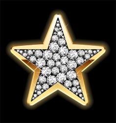 Star shape in diamonds vector image