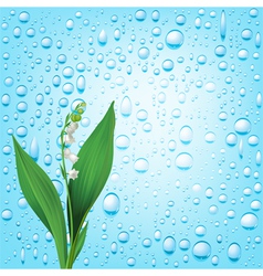 Blue water drops background vector image