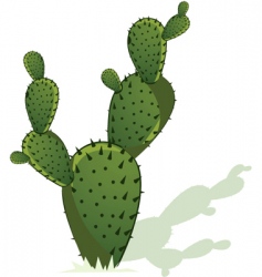 Cactus vector image