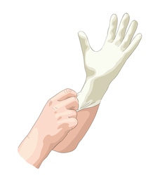 The doctor wears sterile latex gloves vector image