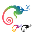 Chameleon vector image