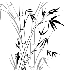 Bamboo vector image