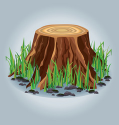 Tree stump with green grass isolated vector image