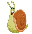 Snail vector image