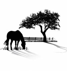 Horse grazing vector image