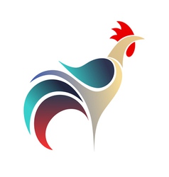 Cock vector image