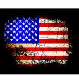 Usa flag vector image