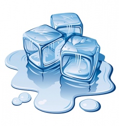 Ice cubes vector image