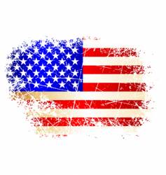 Usa flag vector image