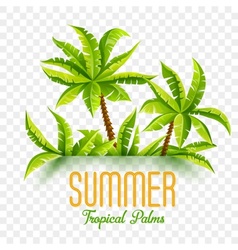 Summer coconut palms vector image
