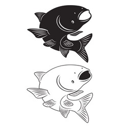 Asian carp vector image