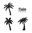Palm tree nature plant design vector image