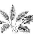 Palm tree vector image
