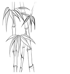 Bamboo vector image