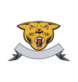 Puma Big Cat Growl Head Isolated vector image