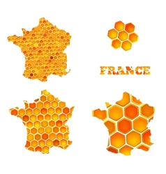 Set of map icons of France with honey cells vector image