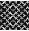 An elegant black and white pattern vector image
