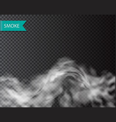 Smoke fog or cloud isolated transparentl effect vector image