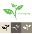 Tea vector image