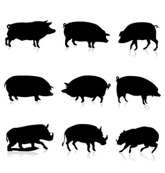 Farm Pigs and Wild Boars Silhouette Farm Pigs and Wild Boars Silhouette vector image