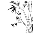 Bamboo vector image