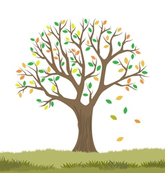 Autumn tree vector image