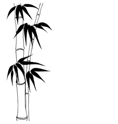 Bamboo vector image