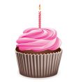 Cupcake vector image