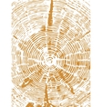 Cross section of tree stump Cross section of tree stump vector image