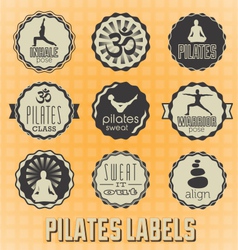 Pilates Labels and Icons vector image