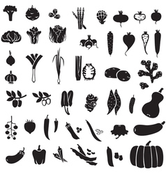 Vegetables set vector image