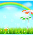 Summer background big bright rainbow above green Summer background big bright rainbow above green vector image