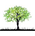 Tree silhouette vector image