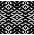 An elegant black and white pattern vector image