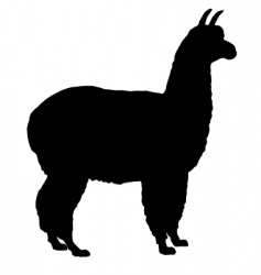 Silhouette of alpaca vector image