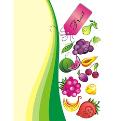 Fresh fruit vector image