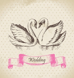 Swans wedding hand drawn vector image