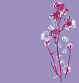 Cherry blossom graphic vector image