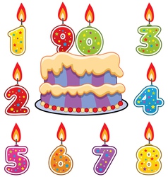Birthday candles and cake vector image