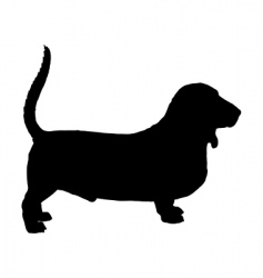 Basset hound vector image