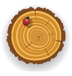 Wooden cut and ladybird vector image