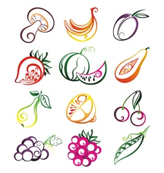 Various Fruits vector image