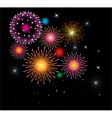 Fireworks vector image
