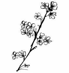 Cherry blossom ink illustration vector image
