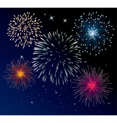 Fireworks vector image