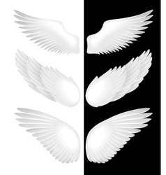 Wings vector image
